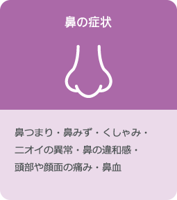 鼻の症状：鼻つまり・鼻みず・くしゃみ・ニオイの異常・鼻の違和感・頭部や顔面の痛み・鼻血